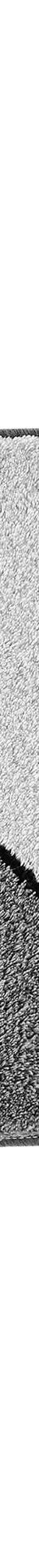 Tapis de bain motif végétal (gris) Tapis de bain motif végétal (gris)